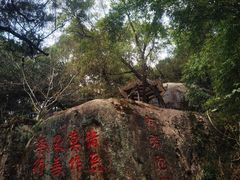 -青芝山风景名胜区