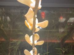 -唐猫庭院·千年陕菜(大唐不夜城店)