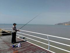 -那琴半岛地质海洋公园