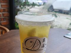 -豆逗聊愈猫阁Easy Life