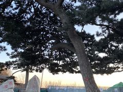 -妙峰山风景名胜区