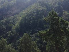 -北京上方山国家森林公园