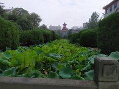 -四川大学(华西校区)