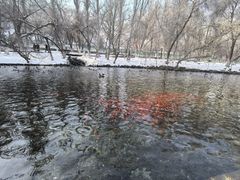 -水磨沟公园