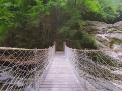 -光雾山旅游景区