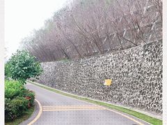 -小南山公园