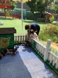 -萌宠亲子动物乐园(槐房万达店)