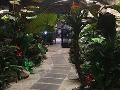 -泉城欧乐堡戏水湾艺术养生温泉