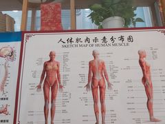 -杏林康桥中医正骨·体态矫正·跌打损伤·推拿按摩(国贸建外SOHO店)