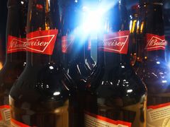 -小四川特色烤鱼(新城总店)