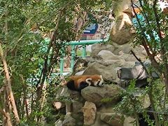 -西安秦岭野生动物园