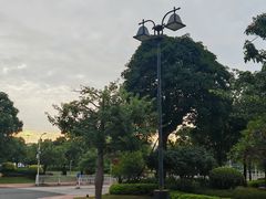 -汕头龙光喜来登酒店