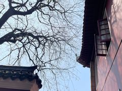 -长春观