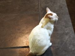 -喜洲吧·江畔老船厂·庭院餐厅(喜临院店)