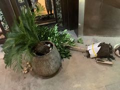 -豪爵足道·SPA(二七路店)