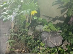 -MAMACHA妈妈茶(岳麓山店)