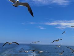 -海驴岛(荣成市)