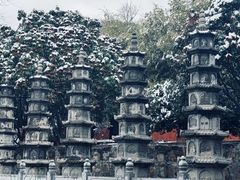 -普照寺