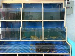 -威海渔村(黄兴路店)