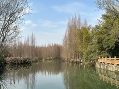 -桤木河湿地公园