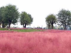 -汉长安城未央宫国家考古遗址公园