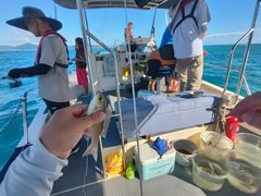 -小猫钓鱼海钓俱乐部(椰梦长廊店)