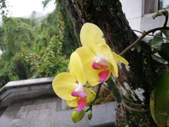 -日月潭