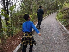 -神光山国家森林公园