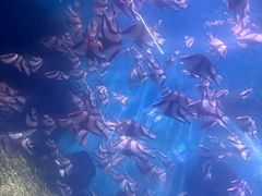 -蓬莱欧乐堡海洋极地世界