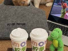 -柠季·手打柠檬茶(上海龙之梦店)