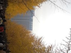 -辽宁大学(崇山校区)