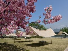 -福建鲤鱼洲酒店