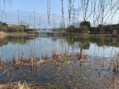 -九里河湿地公园