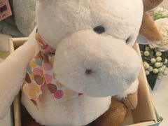 -骆驼日式搬家收纳整理