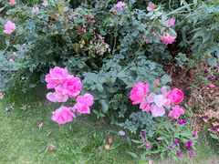 -人民公园(罗湖区)