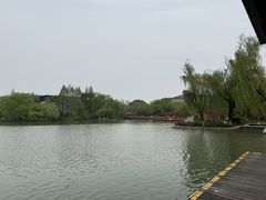 -青枫公园