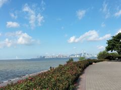 -深圳湾公园(南山区)