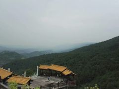 -铁山坪森林公园