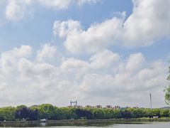 -广富林郊野公园