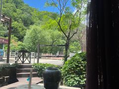 -Local泰莲庭(虹鳟鱼店)