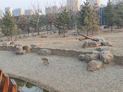 -太原动物园