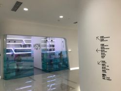 -宝迪之星医疗美容诊所