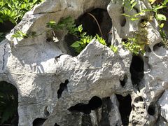 -故宫冰窖餐厅