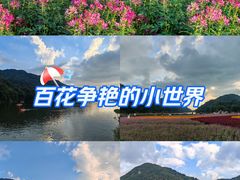 -广州市石门国家森林公园