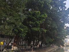 -星巴克臻选(广州沙面店)