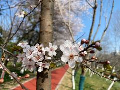 -弄堂里(雨花客厅店)