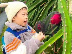 -尚果生态采摘园