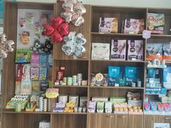 -心仪动物医院·牙专科·肿瘤·心脏科(西客站院)