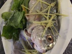 -船奇蒸汽海鲜·闽菜(八市海鲜总店)