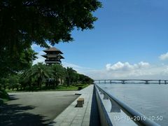 -大湾区中央湿地公园